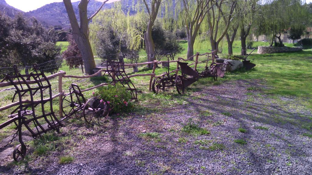 Agriturismo Cugumia Thiesi Екстериор снимка