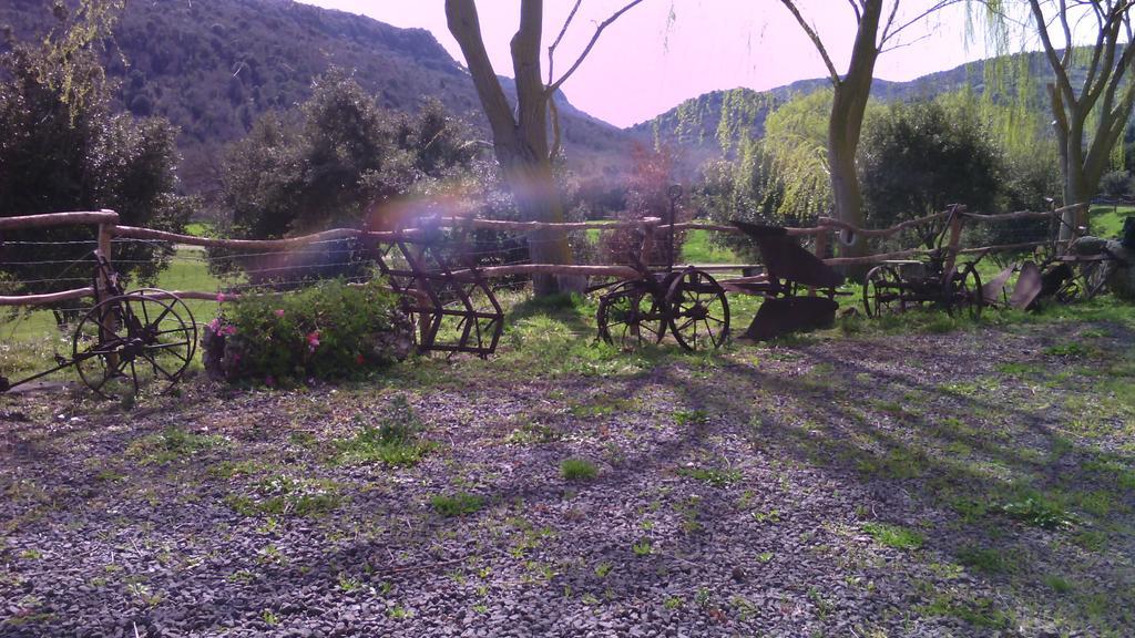 Agriturismo Cugumia Thiesi Екстериор снимка