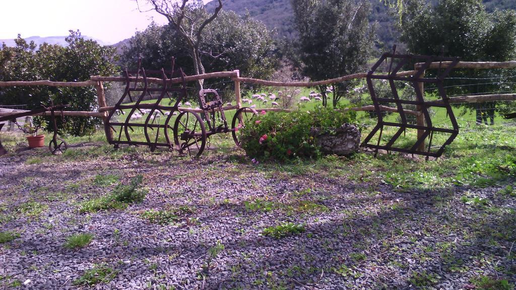 Agriturismo Cugumia Thiesi Екстериор снимка