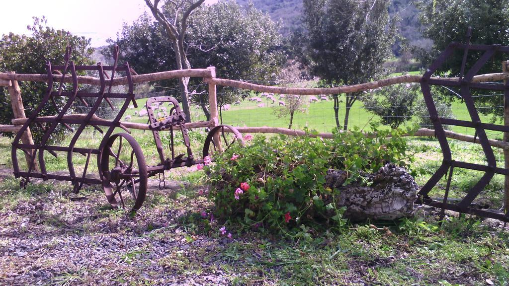 Agriturismo Cugumia Thiesi Екстериор снимка
