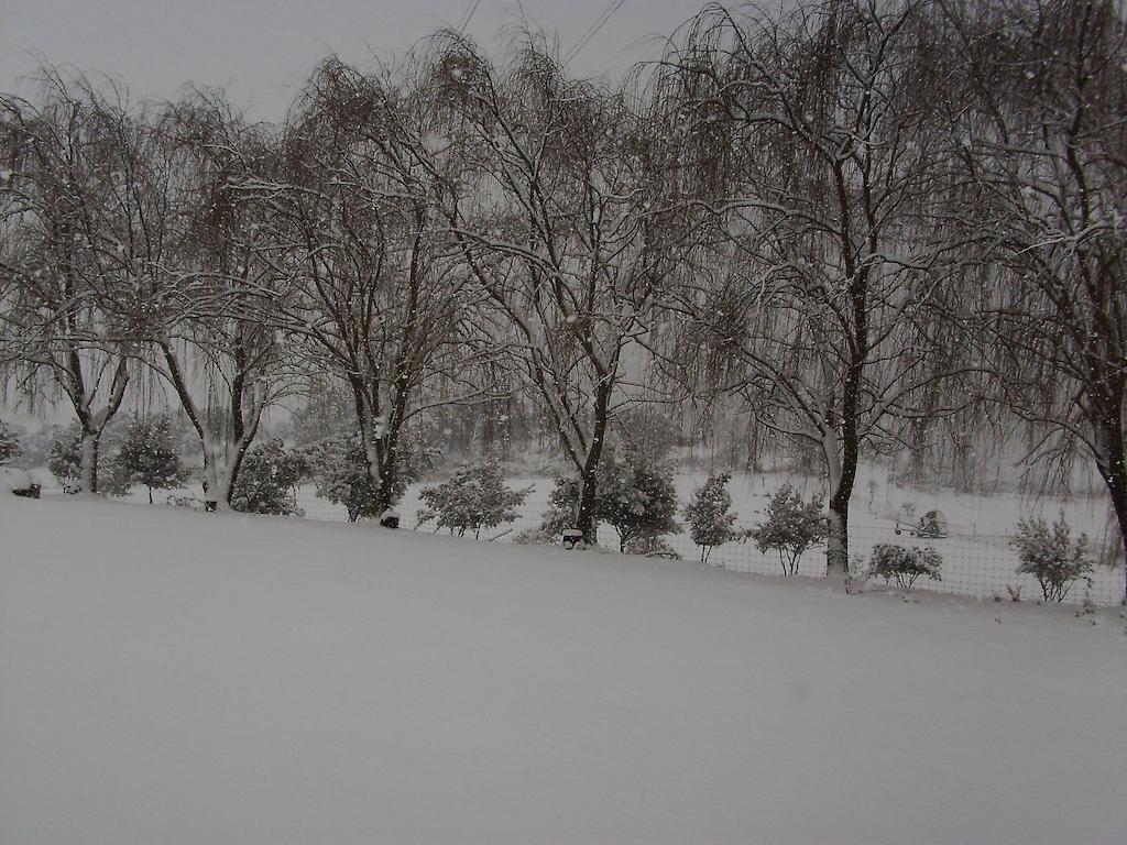 Agriturismo Cugumia Thiesi Екстериор снимка