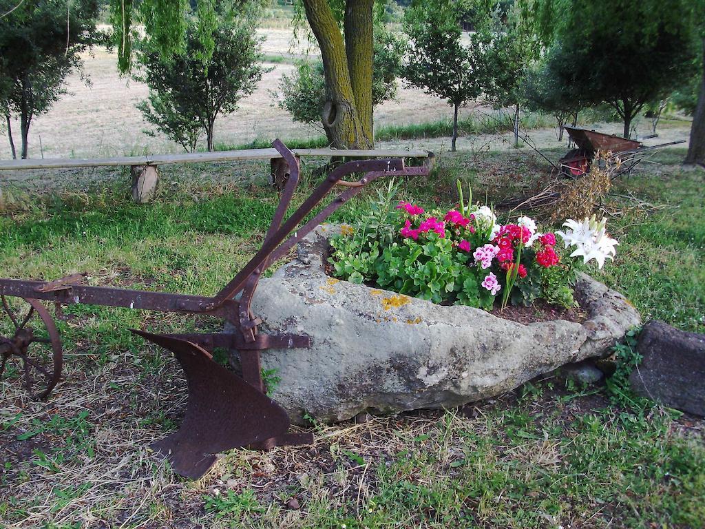 Agriturismo Cugumia Thiesi Екстериор снимка