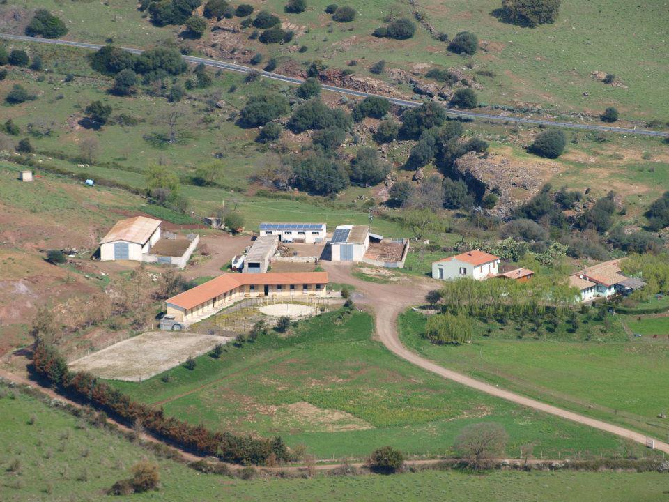 Agriturismo Cugumia Thiesi Екстериор снимка